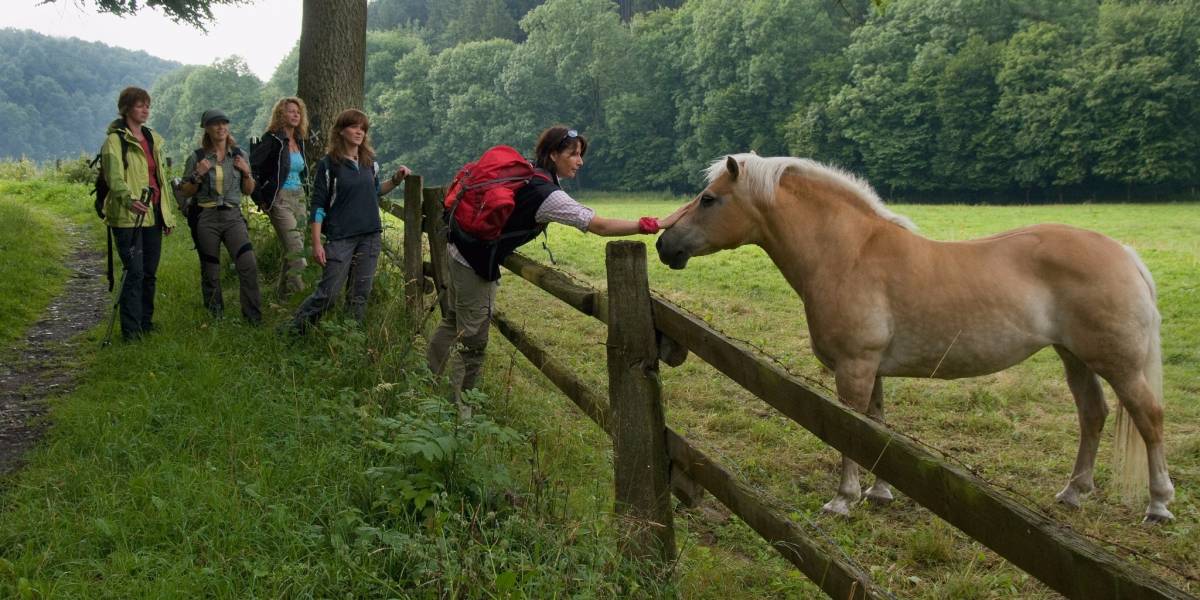 WestfalenWanderWeg © Touristikzentrale Paderborner Land / Reinhard Rohlf